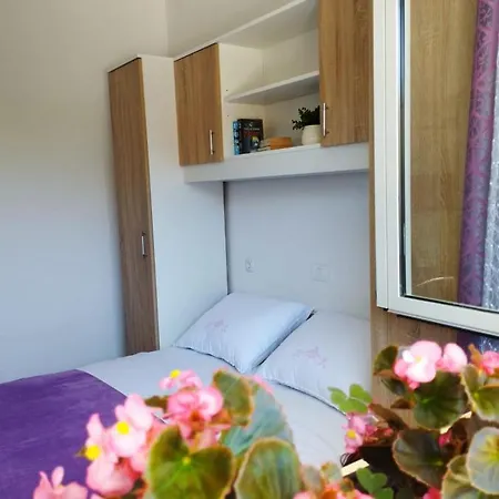 Apartman, And Kata * Pola